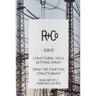 R+Co. GRID STRUCTURAL HOLD SETTING SPRAY